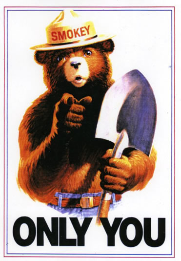 smokey-the-bear