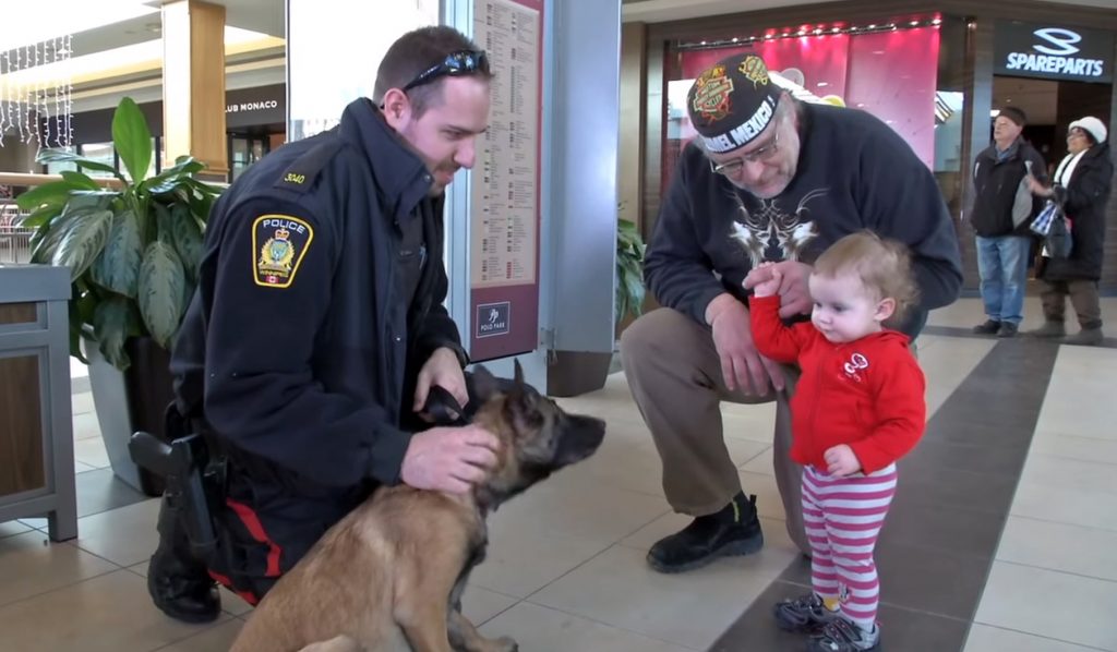 Police Puppy in Training, at Winnipeg Shopping Mall